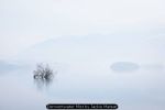 Derwentwater Mist by Jackie Matear
