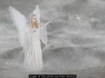 Angel of the storm by Pam Sherrin