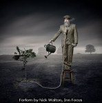 Forlorn by Nick Walton, Inn Focus