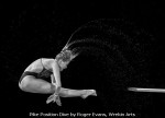 Pike Position Dive by Roger Evans, Wrekin Arts