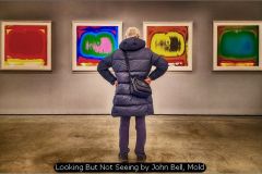 Looking But Not Seeing by John Bell, Mold