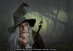 Merlin by Sharon Prenton-Jones, Conwy