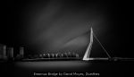 Erasmus Bridge by David Moyes, Dumfries