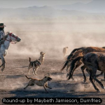 Round-up by Maybeth Jamieson, Dumfries