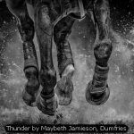 Thunder by Maybeth Jamieson, Dumfries