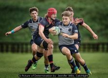 A Picture of Determination by Jennifer Willis, Catchlight