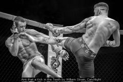 Ain't that a Kick in the Teeth by William Strain, Catchlight