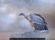 Master of All He Surveys by Laurie Campbell, Catchlight