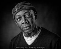 Mr Cool by Ross McKelvey, Catchlight