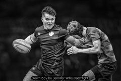 Down Boy by Jennifer Willis,Catchlight