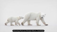Following Mum by Pamela Wilson, Catchlight