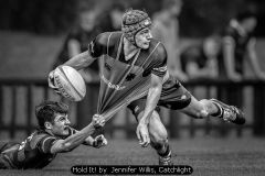 Hold It! by  Jennifer Willis, Catchlight