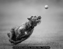 Locked and Loaded by Jennifer Willis, Catchlight