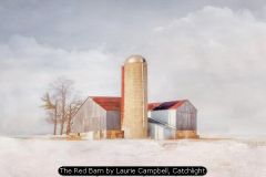 The Red Barn by Laurie Campbell, Catchlight