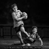 A Slip and a Miss by Jennifer Willis, Catchlight