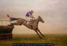 Hold onto Your Horses by Laurie Campbell, Catchlight