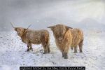Highland Winter by Joe Mee, Rolls Royce Derby