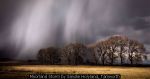 Moorland Storm by Sandie Holyland, Tamworth