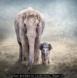 Mum and Baby by Lynda Haney, Wigan 10