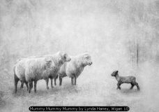 Mummy Mummy Mummy by Lynda Haney, Wigan 10