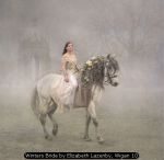 Winters Bride by Jane Lazenby, Wigan 10