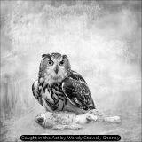 Caught in the Act by Wendy Stowell, Chorley