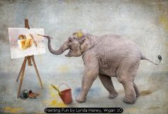 Painting Fun by Lynda Haney, Wigan 10