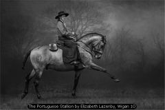 The Portuguese Stallion by Elizabeth Lazenby, Wigan 10