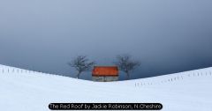 The Red Roof by Jackie Robinson, N.Cheshire