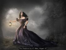 The Shadows by KT Allen, Wigan 10