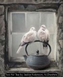 Two for Tea by Jackie Robinson, N.Cheshire