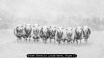 Winter Sheep by Lynda Haney, Wigan 10
