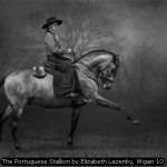 The Portuguese Stallion by Elizabeth Lazenby, Wigan 10