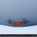 The Red Roof by Jackie Robinson, N.Cheshire