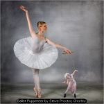 Ballet Puppeteer by Steve Proctor, Chorley