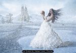 Ice Queen by Adrian Lines, Chorley