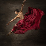 A Dancer in Flight by Paul Hassell, MCPF
