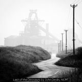 InterFed Mono Prints 2022