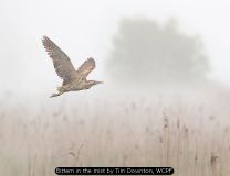 InterFed Nature Prints 2023