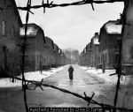 Auschwitz Revisited by Clive D Turner