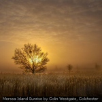 Mersea Island Sunrise by Colin Westgate, Colchester