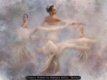 Dreamy Wishes by Barbara Jenkin, Taunton