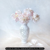 Peonies In Vase by Jolanta Bujalska-Axon, Shirley