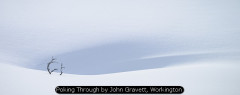 Poking Through by John Gravett, Workington
