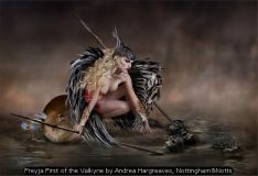 Freyja First of the Valkyrie by Andrea Hargreaves, Nottingham&Notts