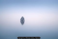 Tranquil by Athena Carey, Epsom