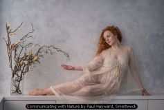 Communicating with Nature by Paul Hayward, Smethwick