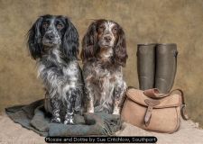 Flossie and Dottie by Sue Critchlow, Southport
