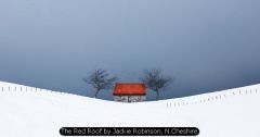 The Red Roof by Jackie Robinson, N.Cheshire
