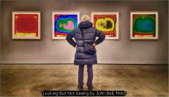 Looking But Not Seeing by John Bell, Mold